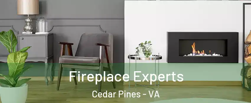 Fireplace Experts Cedar Pines - VA