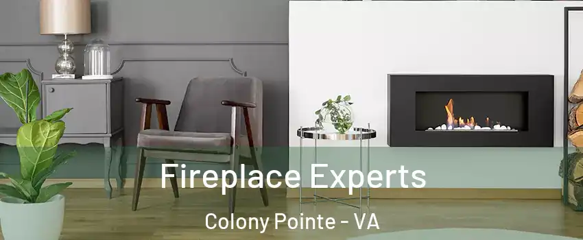 Fireplace Experts Colony Pointe - VA