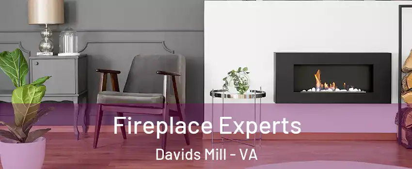 Fireplace Experts Davids Mill - VA