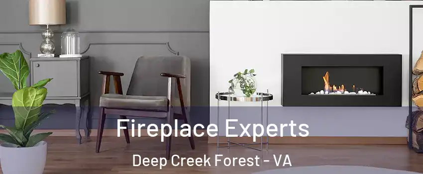 Fireplace Experts Deep Creek Forest - VA