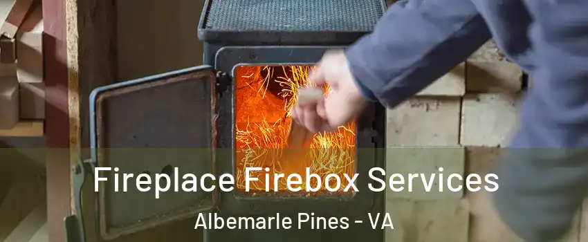 Fireplace Firebox Services Albemarle Pines - VA
