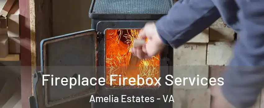 Fireplace Firebox Services Amelia Estates - VA