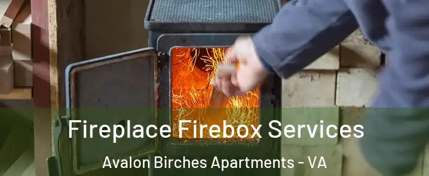 Fireplace Firebox Services Avalon Birches Apartments - VA