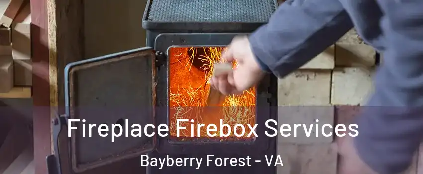 Fireplace Firebox Services Bayberry Forest - VA