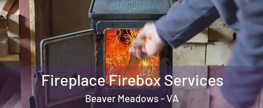 Fireplace Firebox Services Beaver Meadows - VA