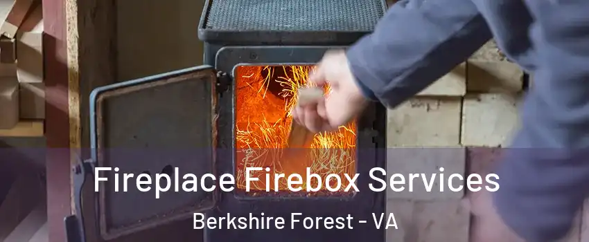 Fireplace Firebox Services Berkshire Forest - VA