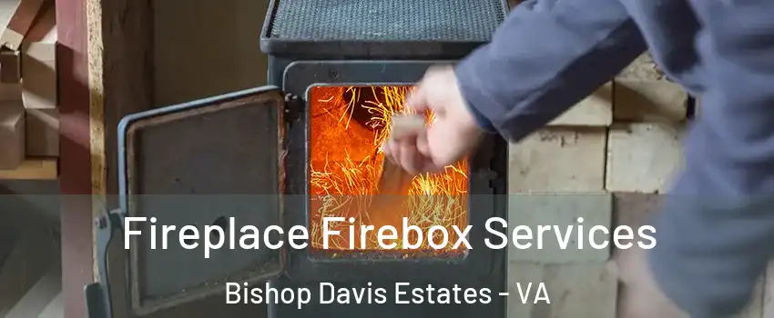 Fireplace Firebox Services Bishop Davis Estates - VA