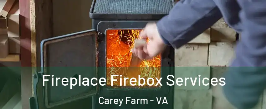 Fireplace Firebox Services Carey Farm - VA