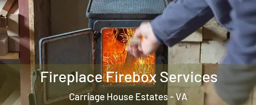 Fireplace Firebox Services Carriage House Estates - VA