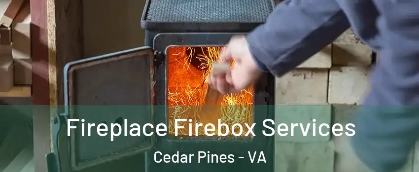 Fireplace Firebox Services Cedar Pines - VA