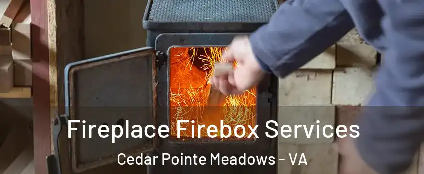 Fireplace Firebox Services Cedar Pointe Meadows - VA