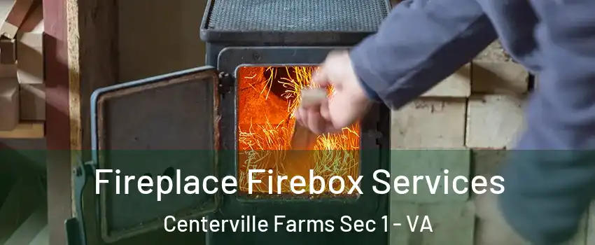 Fireplace Firebox Services Centerville Farms Sec 1 - VA