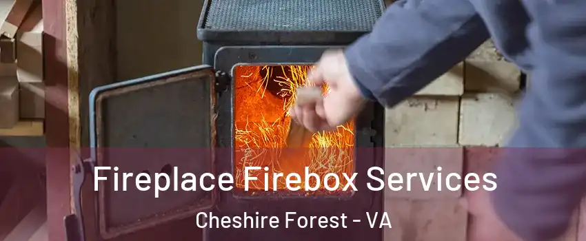 Fireplace Firebox Services Cheshire Forest - VA