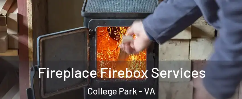 Fireplace Firebox Services College Park - VA