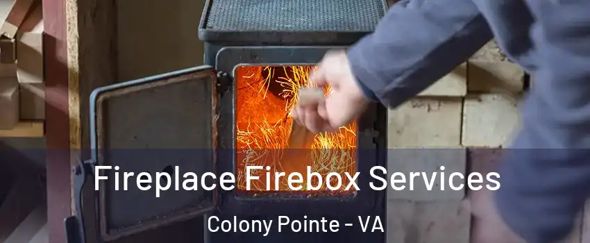 Fireplace Firebox Services Colony Pointe - VA