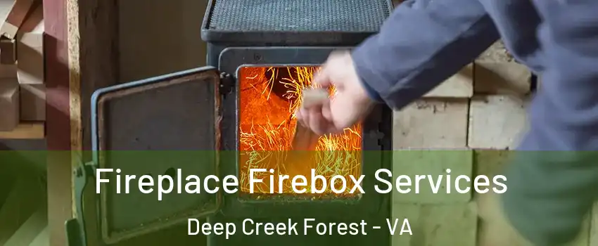 Fireplace Firebox Services Deep Creek Forest - VA