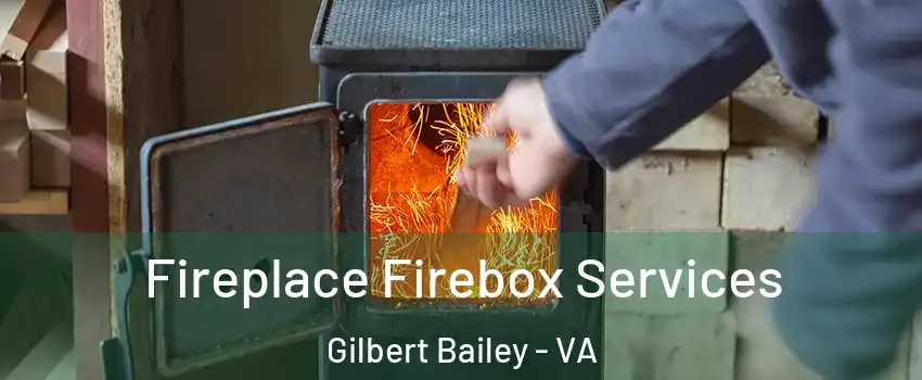Fireplace Firebox Services Gilbert Bailey - VA
