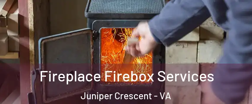 Fireplace Firebox Services Juniper Crescent - VA