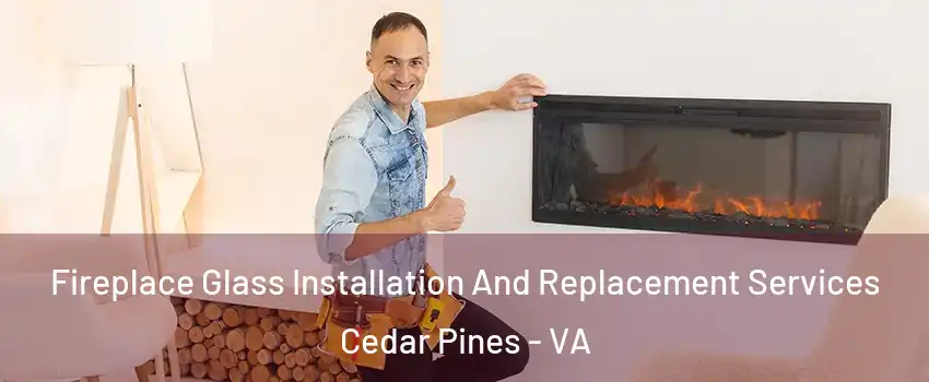 Fireplace Glass Installation And Replacement Services Cedar Pines - VA