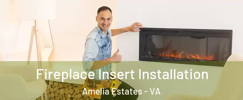 Fireplace Insert Installation Amelia Estates - VA