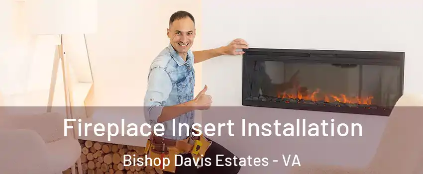 Fireplace Insert Installation Bishop Davis Estates - VA
