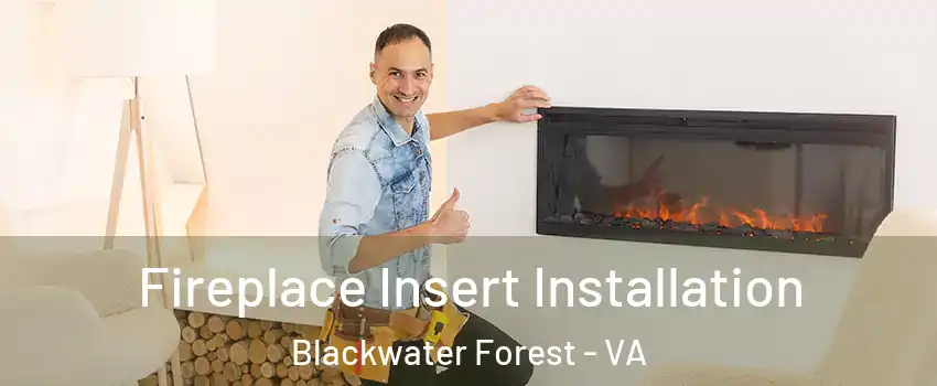Fireplace Insert Installation Blackwater Forest - VA