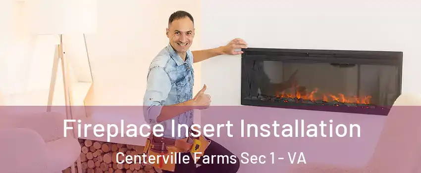 Fireplace Insert Installation Centerville Farms Sec 1 - VA