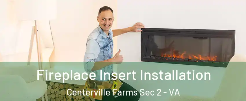 Fireplace Insert Installation Centerville Farms Sec 2 - VA