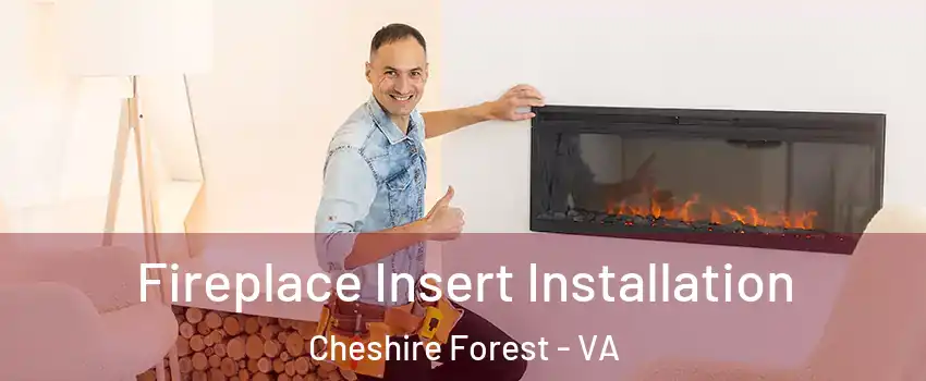 Fireplace Insert Installation Cheshire Forest - VA