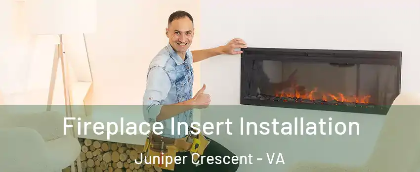 Fireplace Insert Installation Juniper Crescent - VA