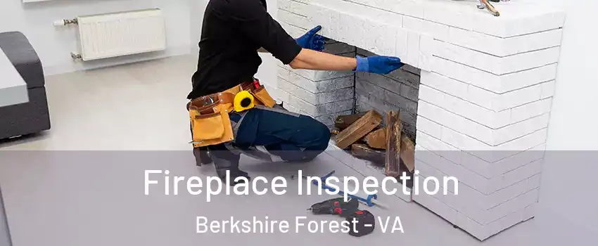 Fireplace Inspection Berkshire Forest - VA