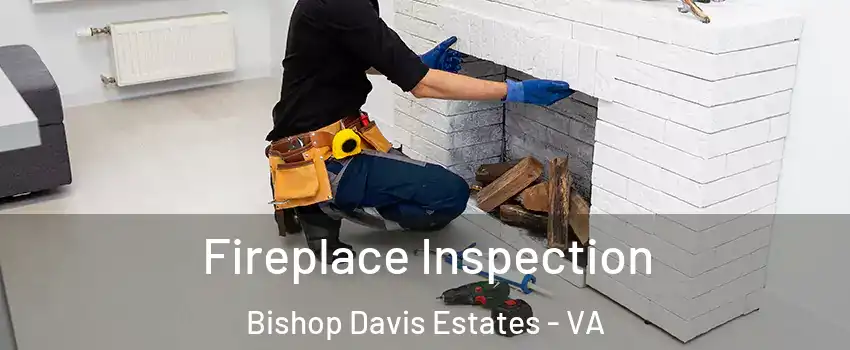 Fireplace Inspection Bishop Davis Estates - VA