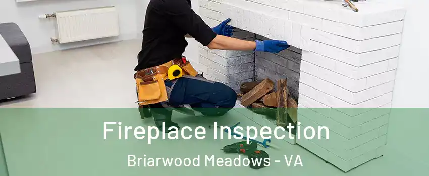 Fireplace Inspection Briarwood Meadows - VA