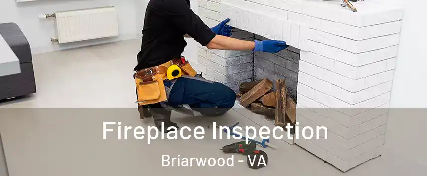 Fireplace Inspection Briarwood - VA