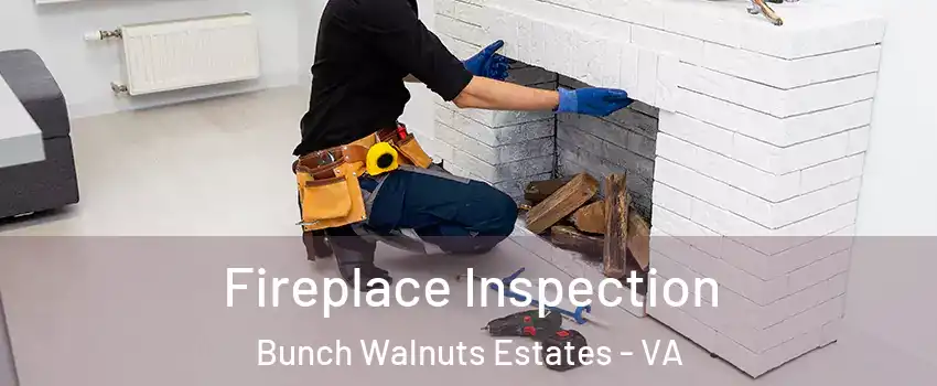 Fireplace Inspection Bunch Walnuts Estates - VA