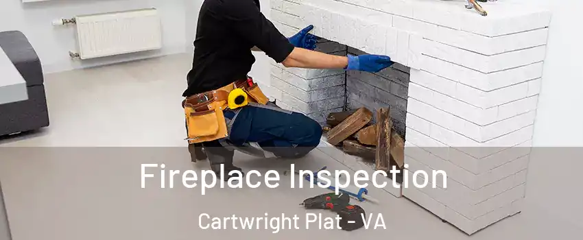 Fireplace Inspection Cartwright Plat - VA