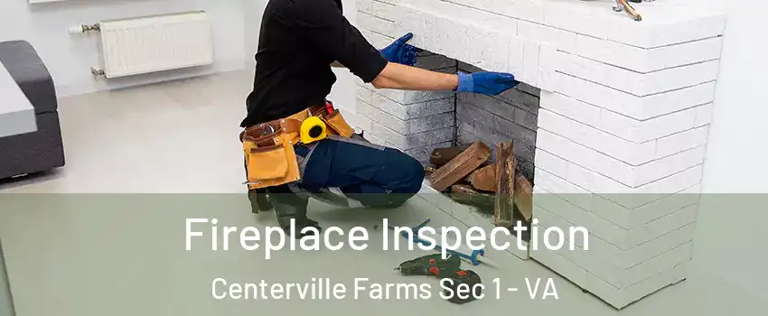 Fireplace Inspection Centerville Farms Sec 1 - VA