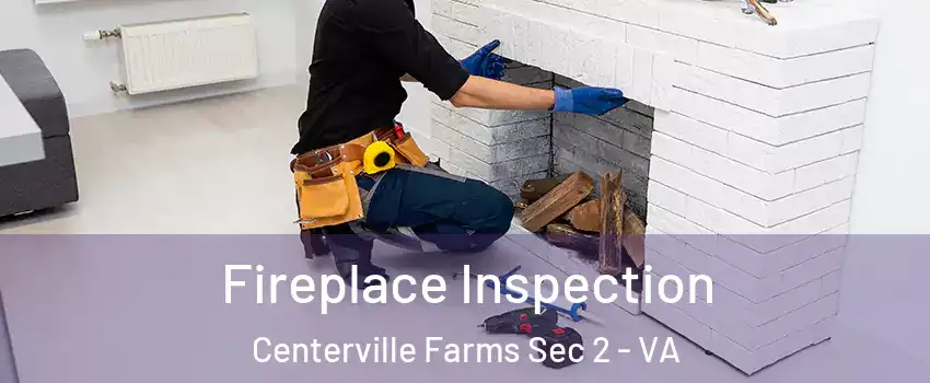 Fireplace Inspection Centerville Farms Sec 2 - VA
