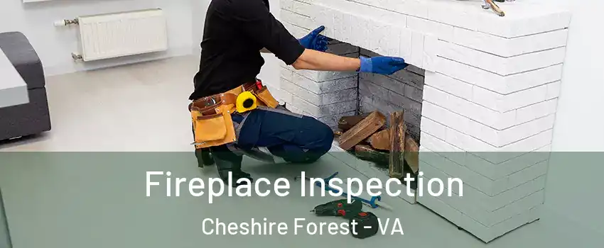 Fireplace Inspection Cheshire Forest - VA