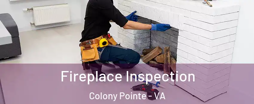 Fireplace Inspection Colony Pointe - VA