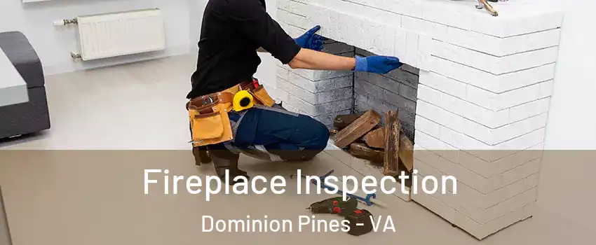 Fireplace Inspection Dominion Pines - VA