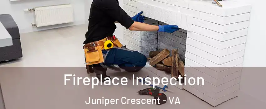 Fireplace Inspection Juniper Crescent - VA