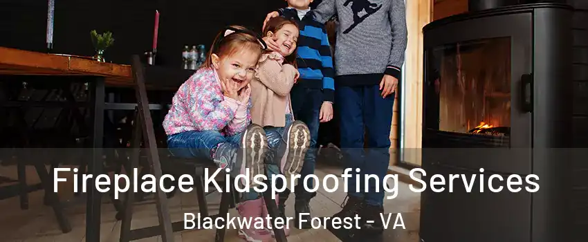 Fireplace Kidsproofing Services Blackwater Forest - VA