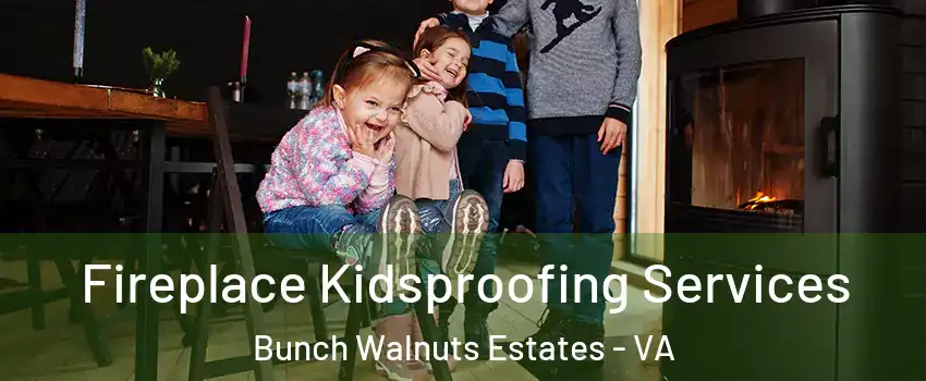 Fireplace Kidsproofing Services Bunch Walnuts Estates - VA
