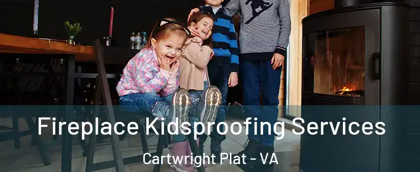 Fireplace Kidsproofing Services Cartwright Plat - VA