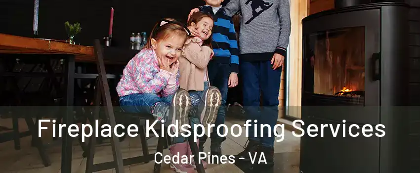 Fireplace Kidsproofing Services Cedar Pines - VA