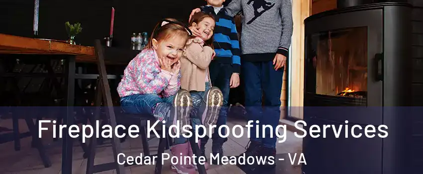 Fireplace Kidsproofing Services Cedar Pointe Meadows - VA