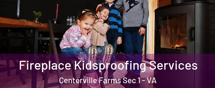 Fireplace Kidsproofing Services Centerville Farms Sec 1 - VA