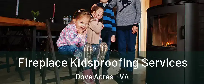 Fireplace Kidsproofing Services Dove Acres - VA