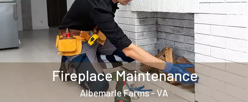 Fireplace Maintenance Albemarle Farms - VA